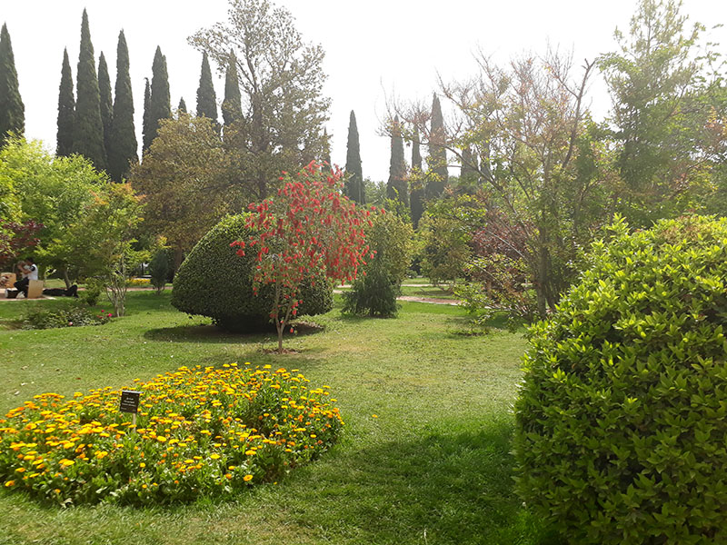 پوشش گیاهی باغ ارم شیراز